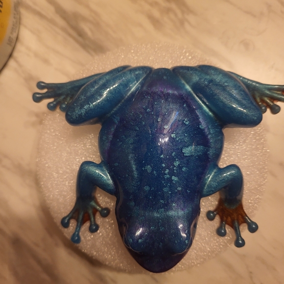 A cute frog - Picture 3 of 3